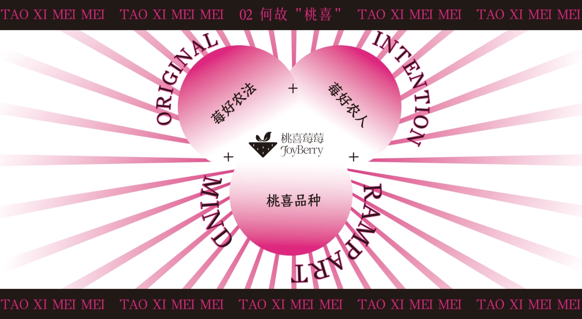 桃喜莓莓品牌手册2025版_第6页