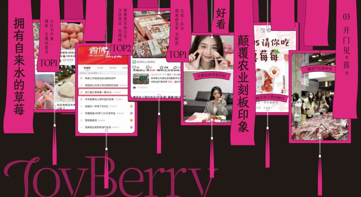 桃喜莓莓品牌手册2025版_第7页