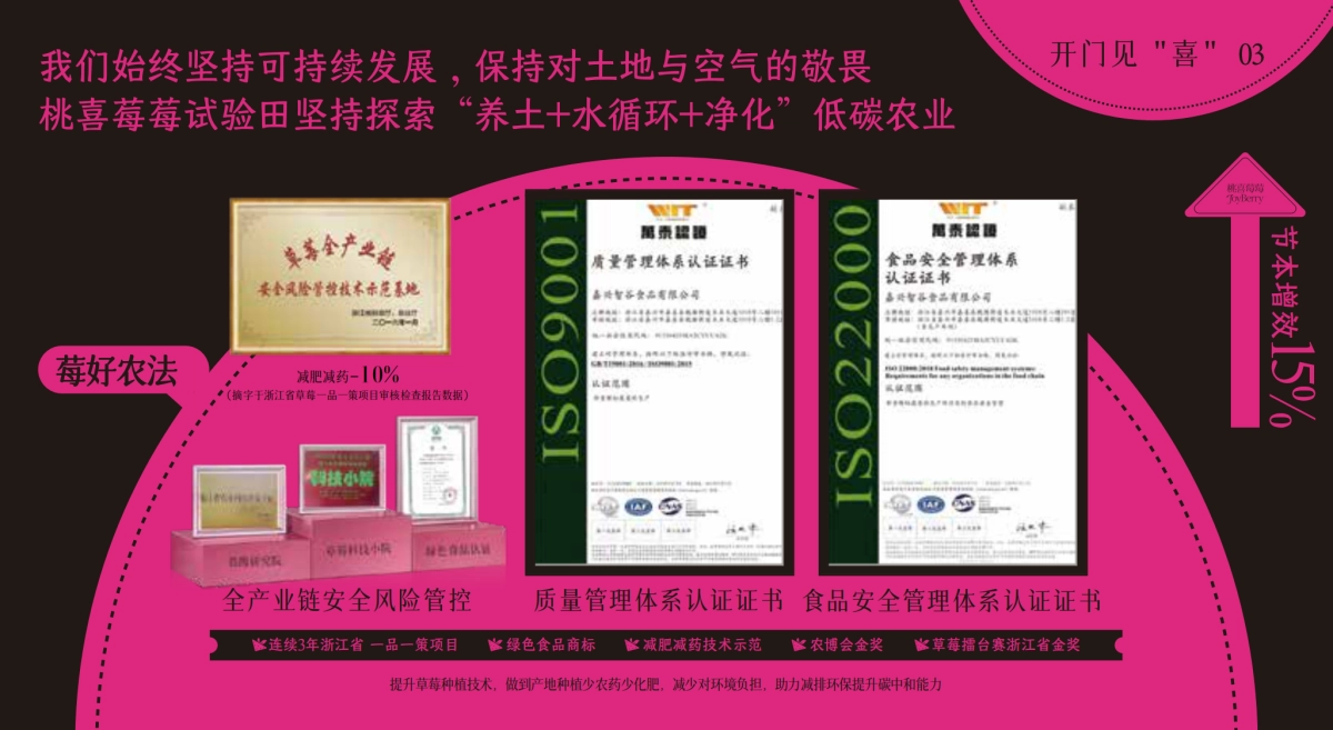 桃喜莓莓品牌手册2025版_第9页