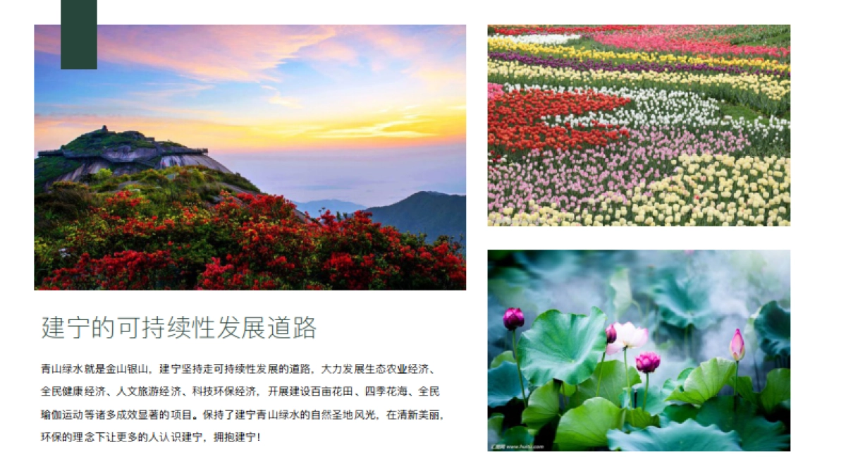 艺术公益博物馆暨瑜伽文化节_第4页