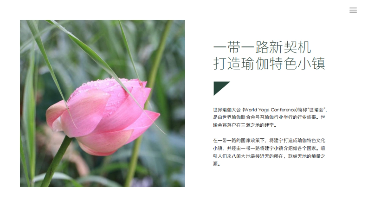 艺术公益博物馆暨瑜伽文化节_第6页