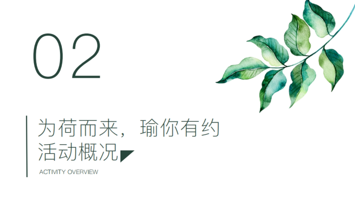 艺术公益博物馆暨瑜伽文化节_第8页