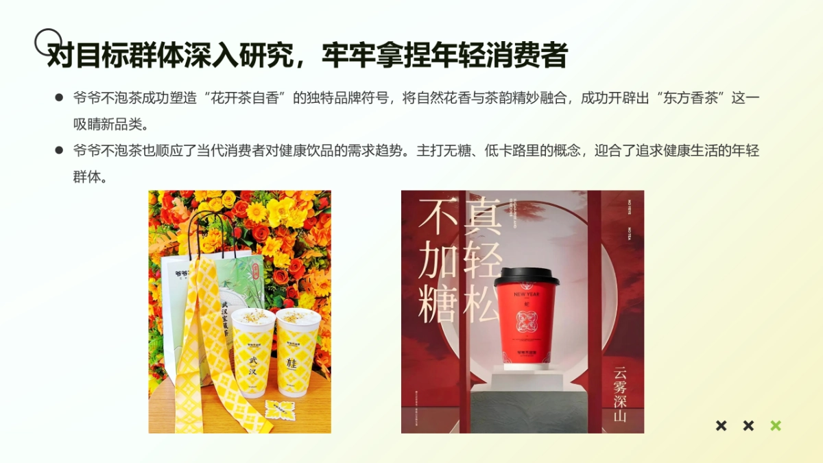 爷爷不泡茶茶饮品牌小红书平台推广方案_第6页