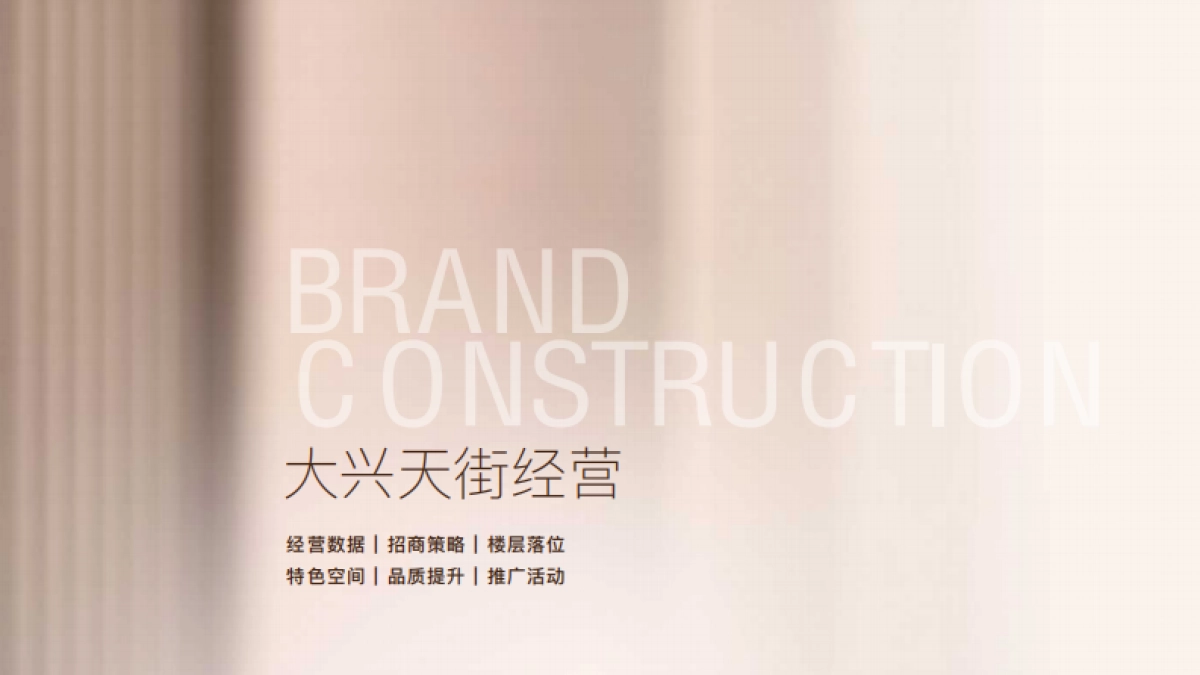 龙湖北京大兴天街项目手册_第10页