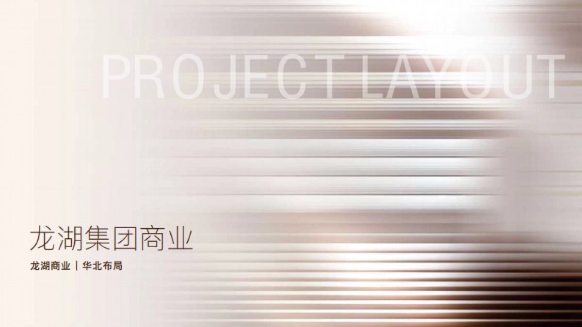 龙湖北京大兴天街项目手册_第2页