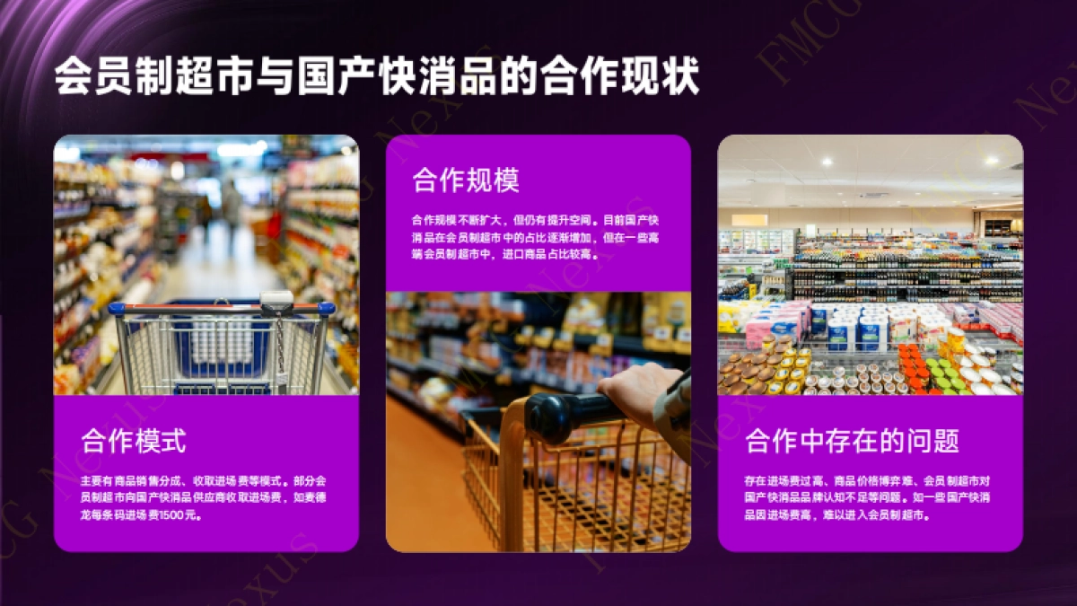 快消品行业：会员制超市国产快消品进场费博弈模型白皮书（2025）_第6页