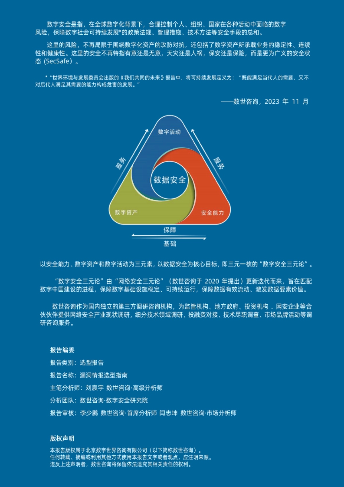2025漏洞情报选型指南报告-数世咨询_第3页
