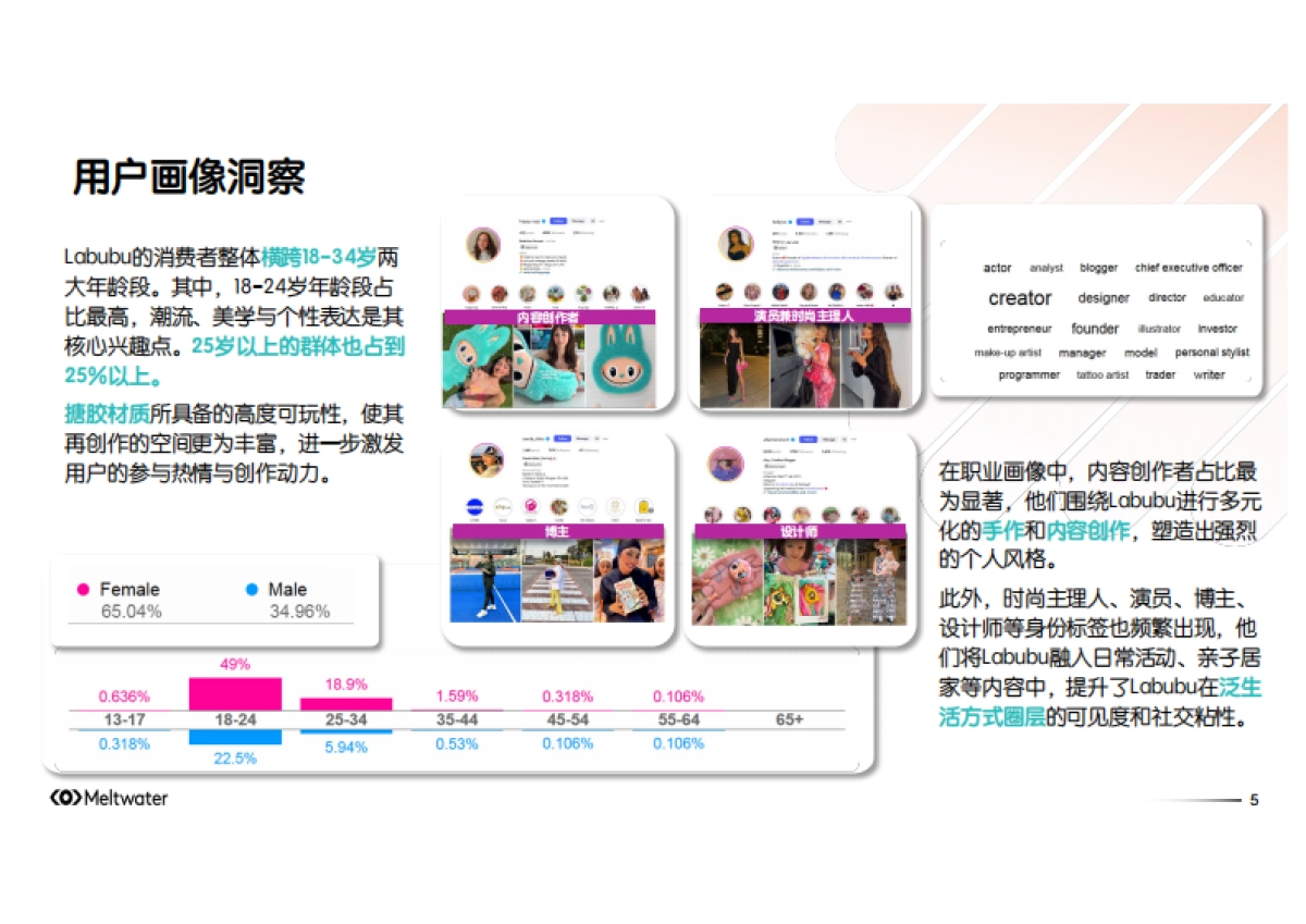 2025年从Labubu全球热潮：解码全球社媒现象级潮玩背后的消费者心理报告-Meltwater融文_第5页