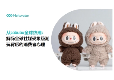 2025年从Labubu全球热潮：解码全球社媒现象级潮玩背后的消费者心理报告-Meltwater融文