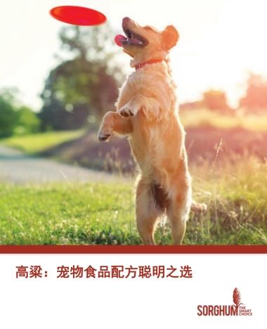 2025年高粱：宠物食品配方聪明之选研究报告-美国谷物协会