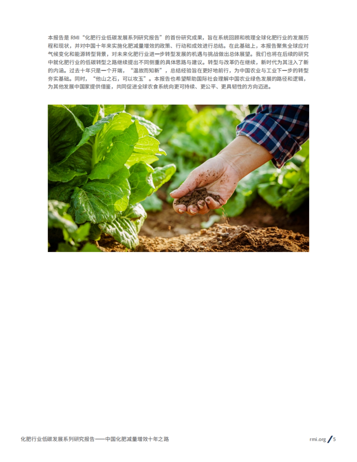 2025年化肥行业低碳发展系列研究报告-中国化肥减量增效十年之路-RMI落基山研究所_第5页
