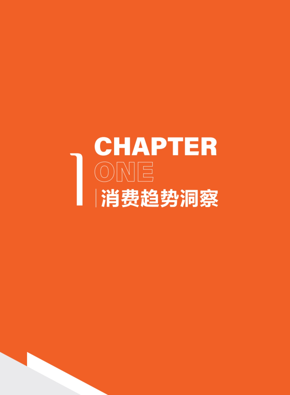 2025年金融消费趋势洞察研究报告-财新智库_第6页