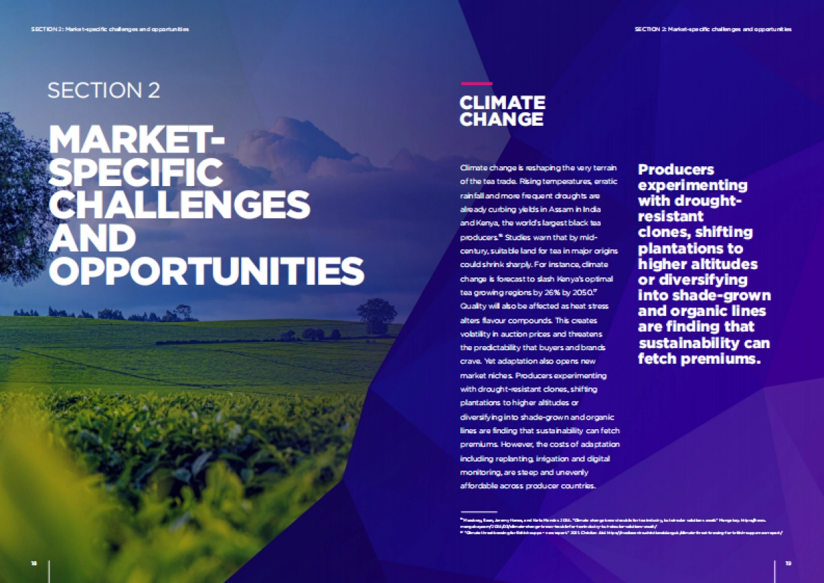 2025年贸易的未来：茶叶特别版报告（英文版）-DMCC_第10页