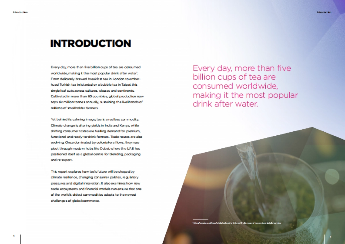2025年贸易的未来：茶叶特别版报告（英文版）-DMCC_第3页