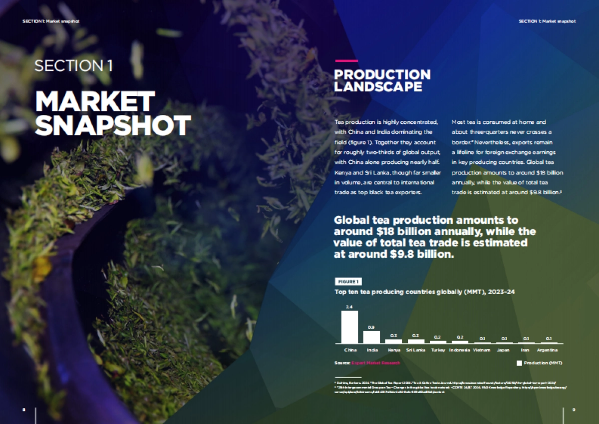 2025年贸易的未来：茶叶特别版报告（英文版）-DMCC_第5页
