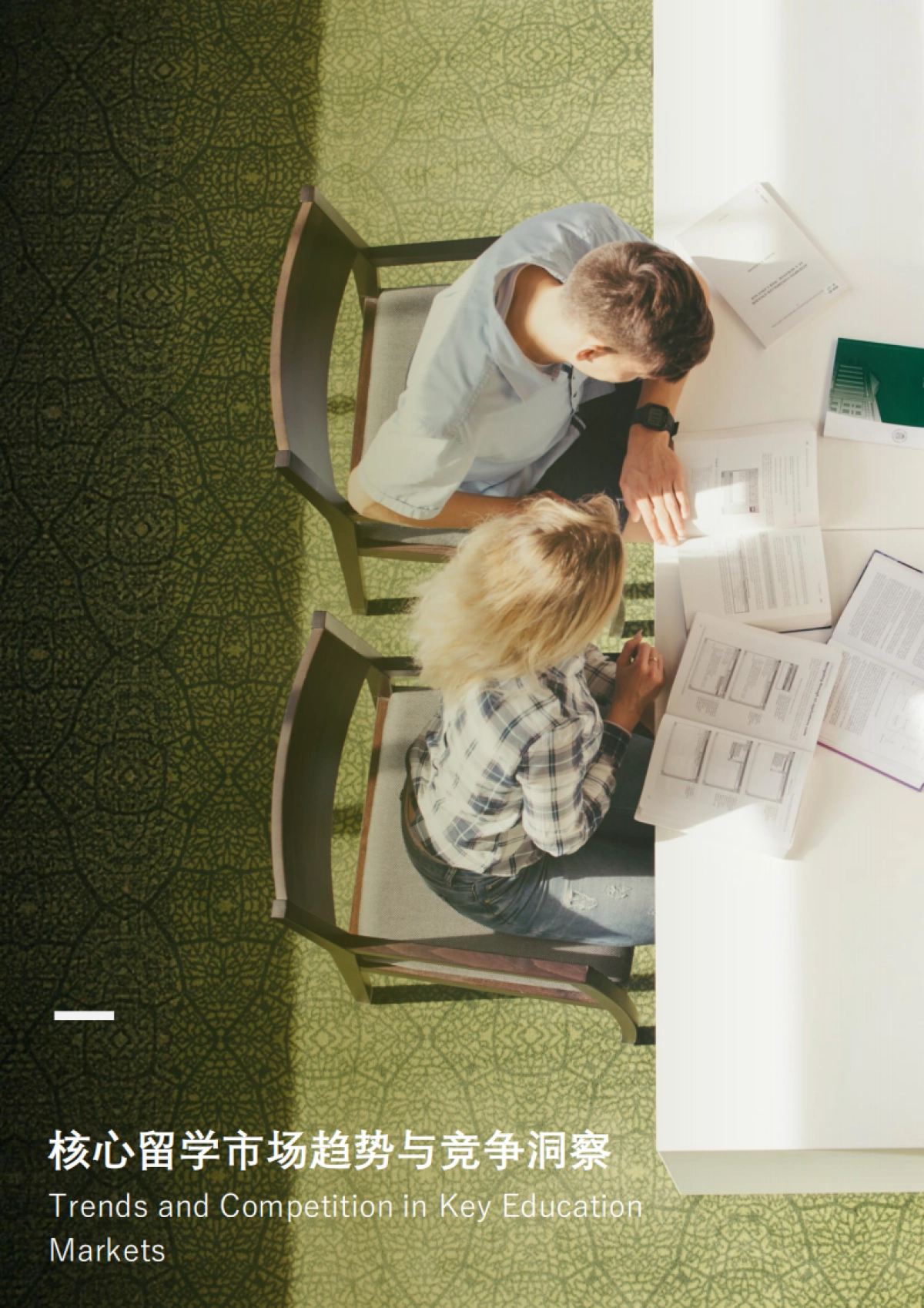 2025中国高中生未来升学就业路径研究白皮书：英国高等教育篇-头豹研究院_第4页