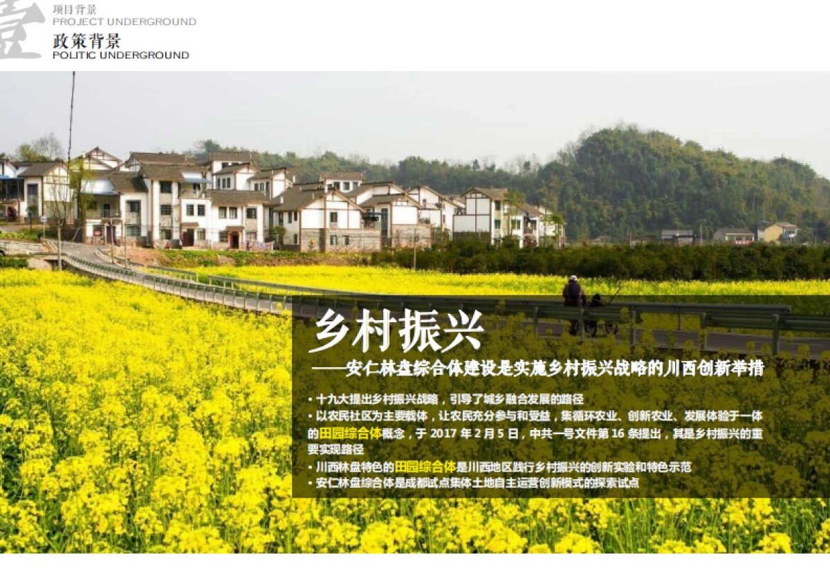 天府林盘竹韵原乡庄园示范区景观设计方案_第8页