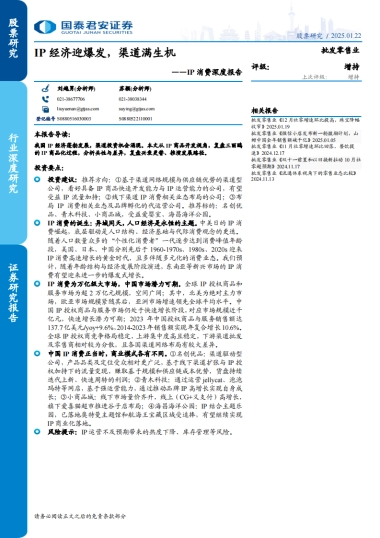IP消费深度报告：IP经济迎爆发，渠道满生机（2025）-国泰君安