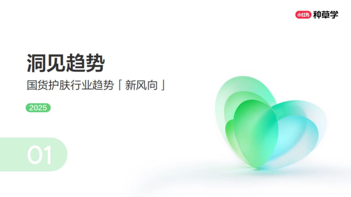 双11美学公式:国货护肤增长密钥2025_第3页