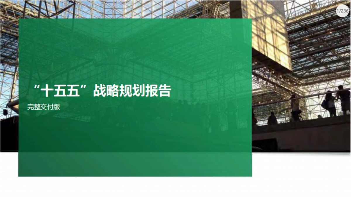 “十五五”战略规划报告（236页）_第1页