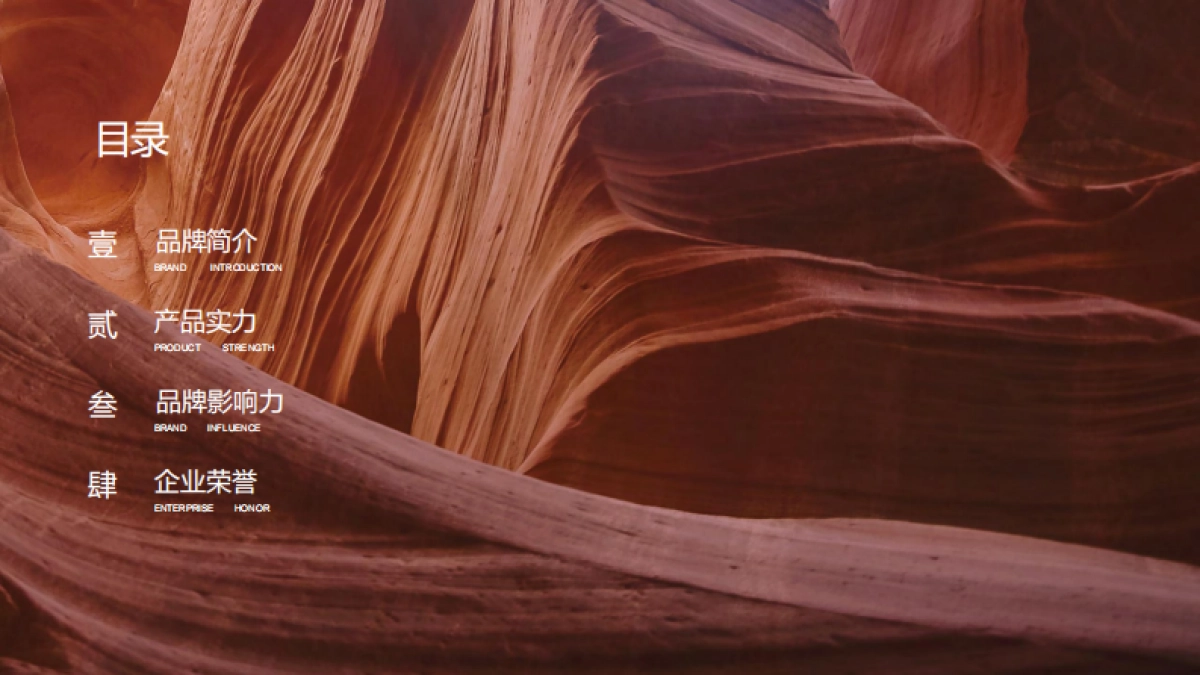 溪木源品牌手册_第2页