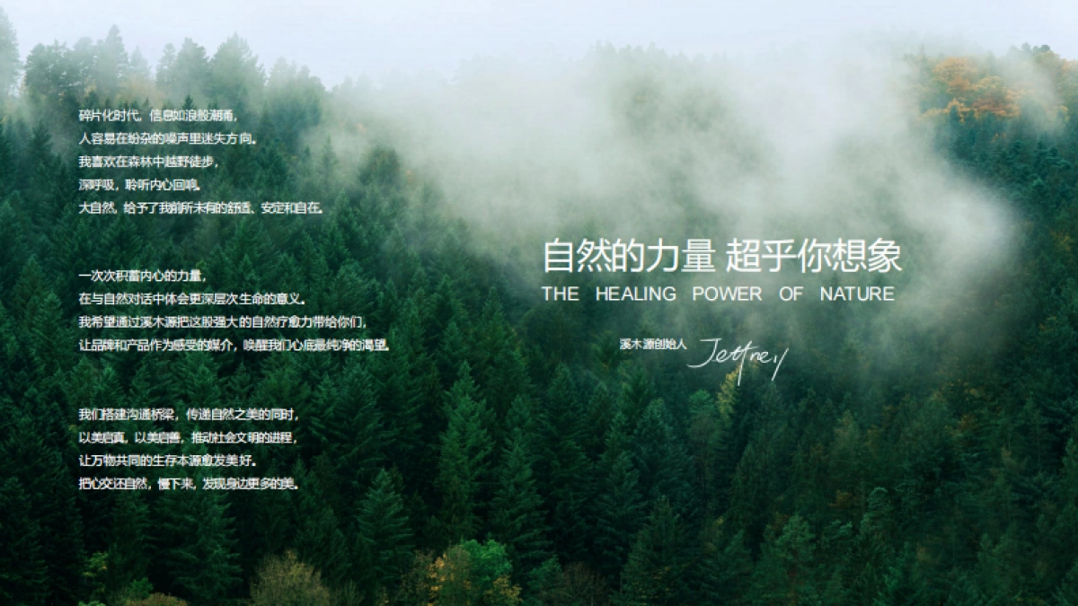 溪木源品牌手册_第3页