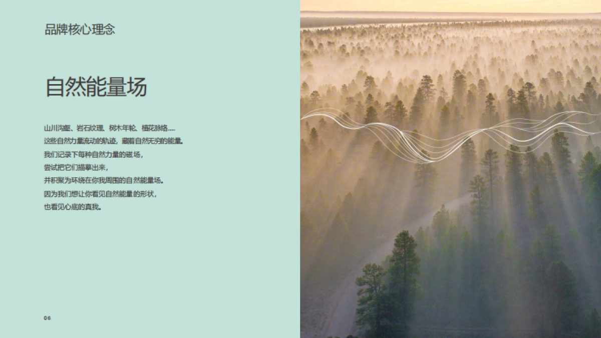溪木源品牌手册_第6页