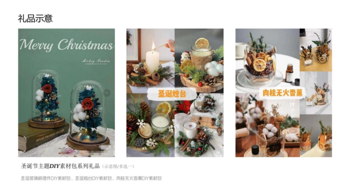 理想汽车圣诞节门店主题活动策划方案_第10页