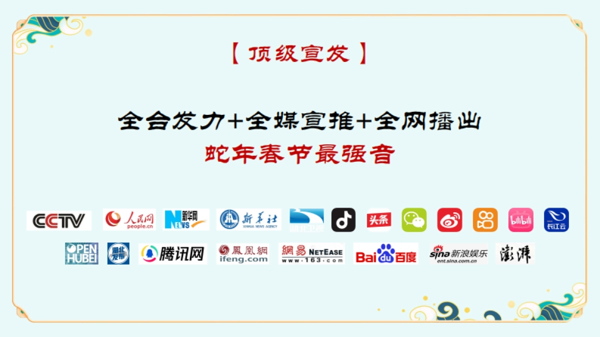 2025《长江之恋》湖北卫视春晚招商方案_第8页