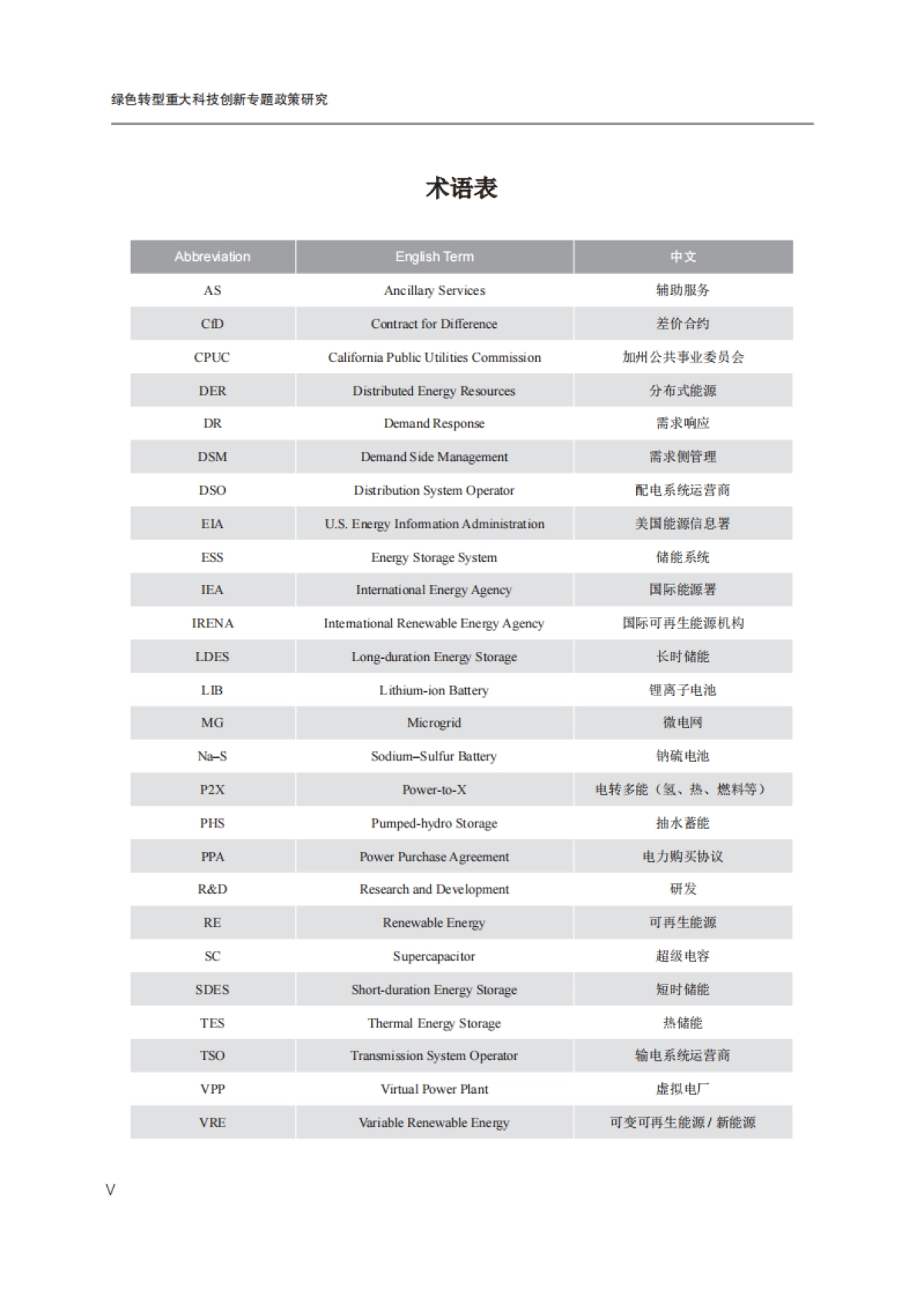 2025年绿色转型重大科技创新-国合会_第10页