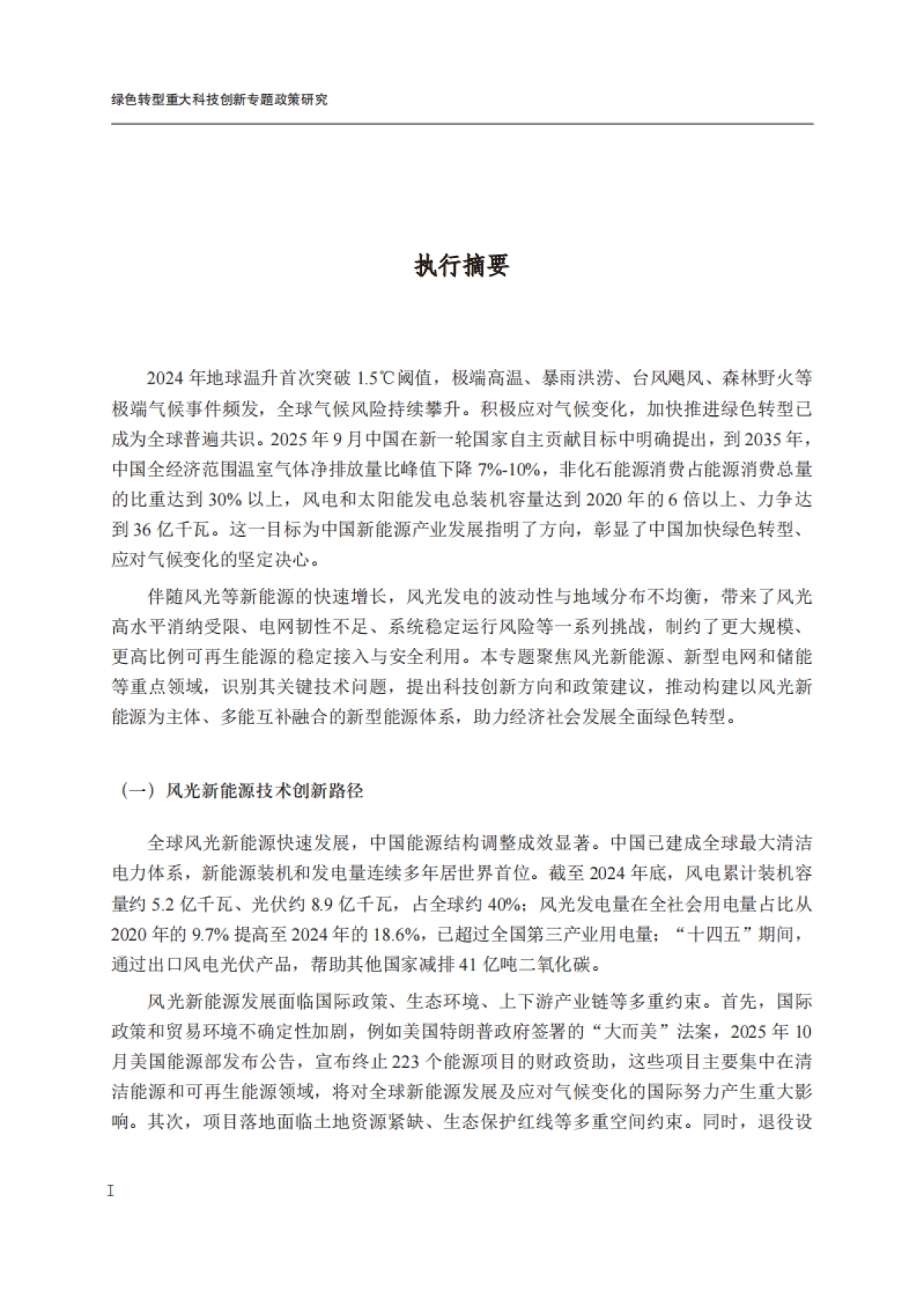 2025年绿色转型重大科技创新-国合会_第6页