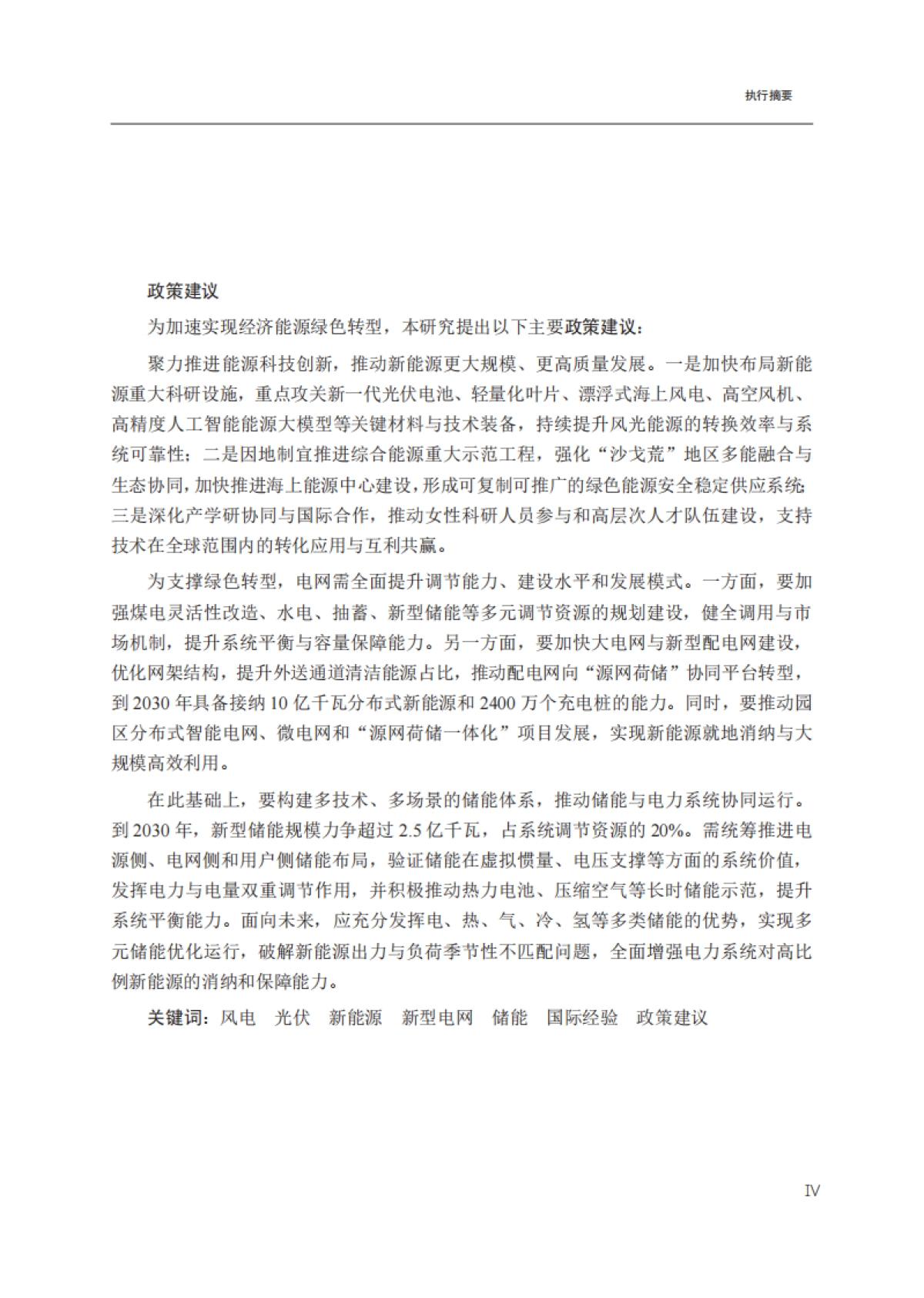 2025年绿色转型重大科技创新-国合会_第9页