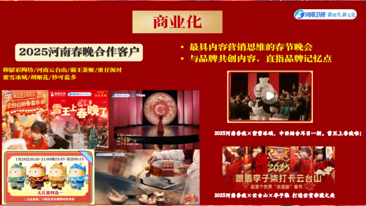 2026河南春晚商务方案_第8页