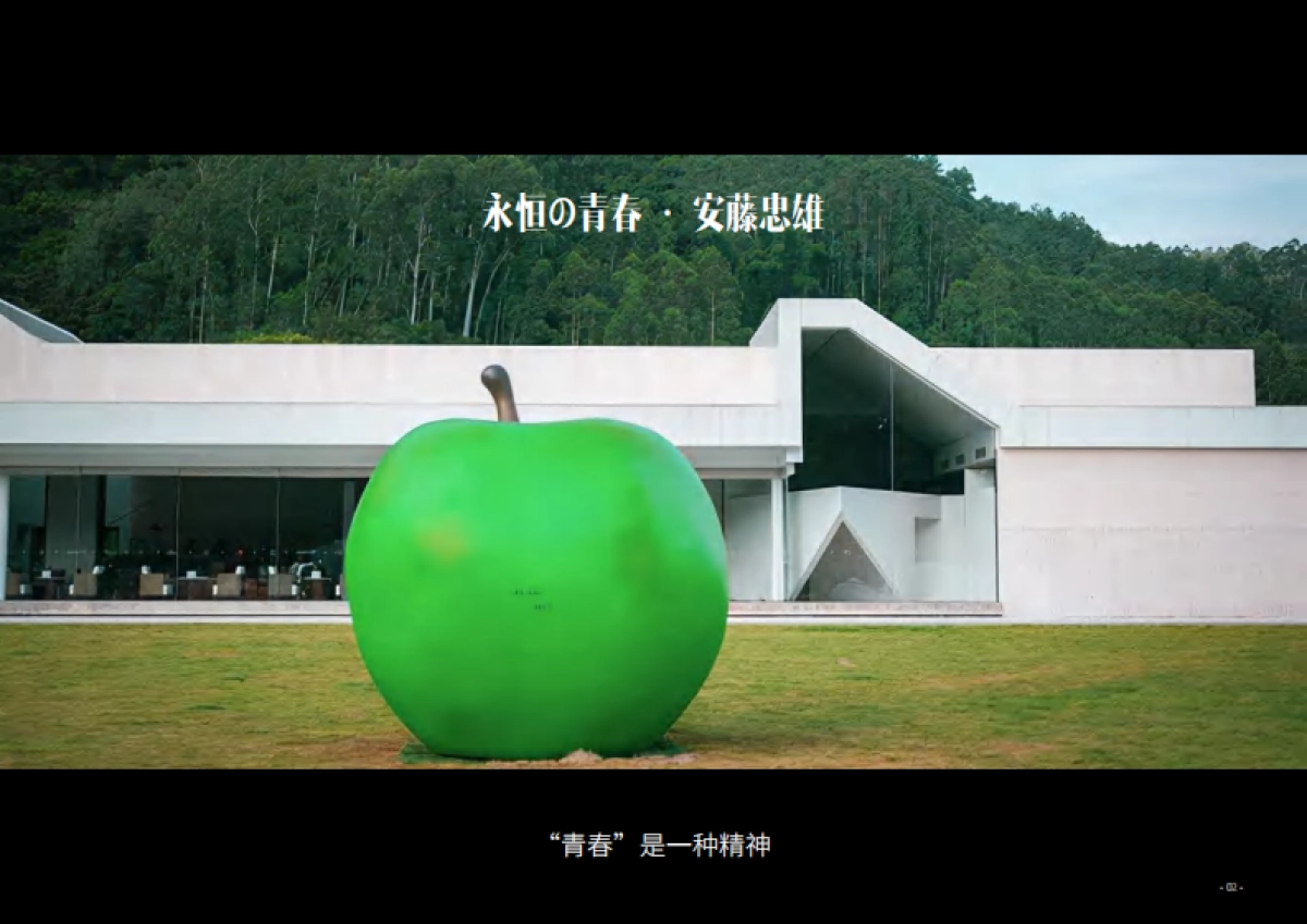 安吉和乐农场文旅项目景观概念设计方案_第3页