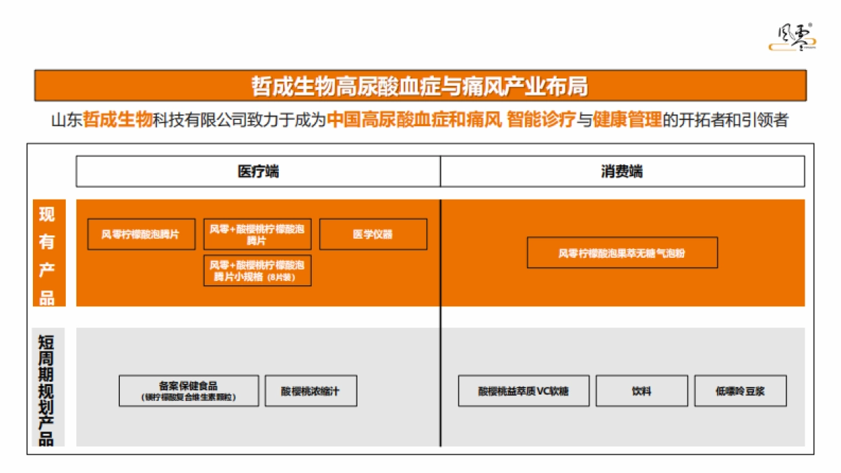 哲成生物风零通风药品牌升级设计方案_第9页