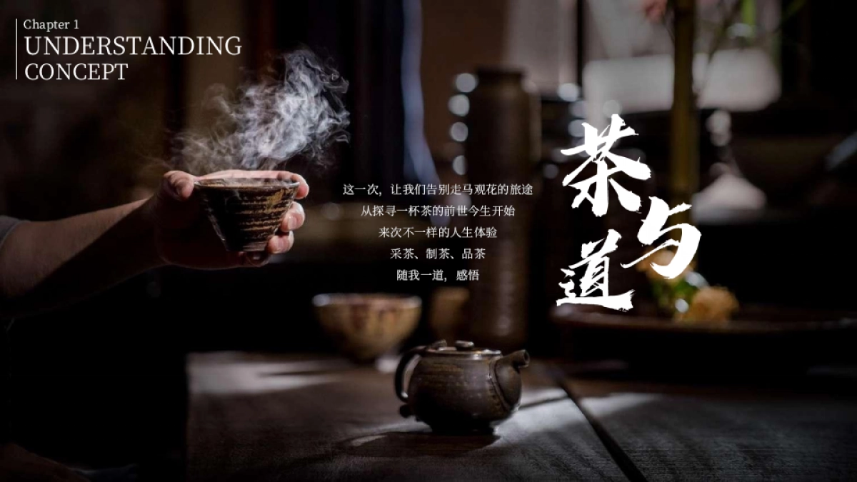 茶与道茶文化主题嘉年华创意活动方案_第7页