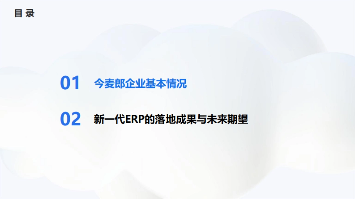 金蝶：2025年新一代ERP，助力今麦郎数字化转型报告_第2页