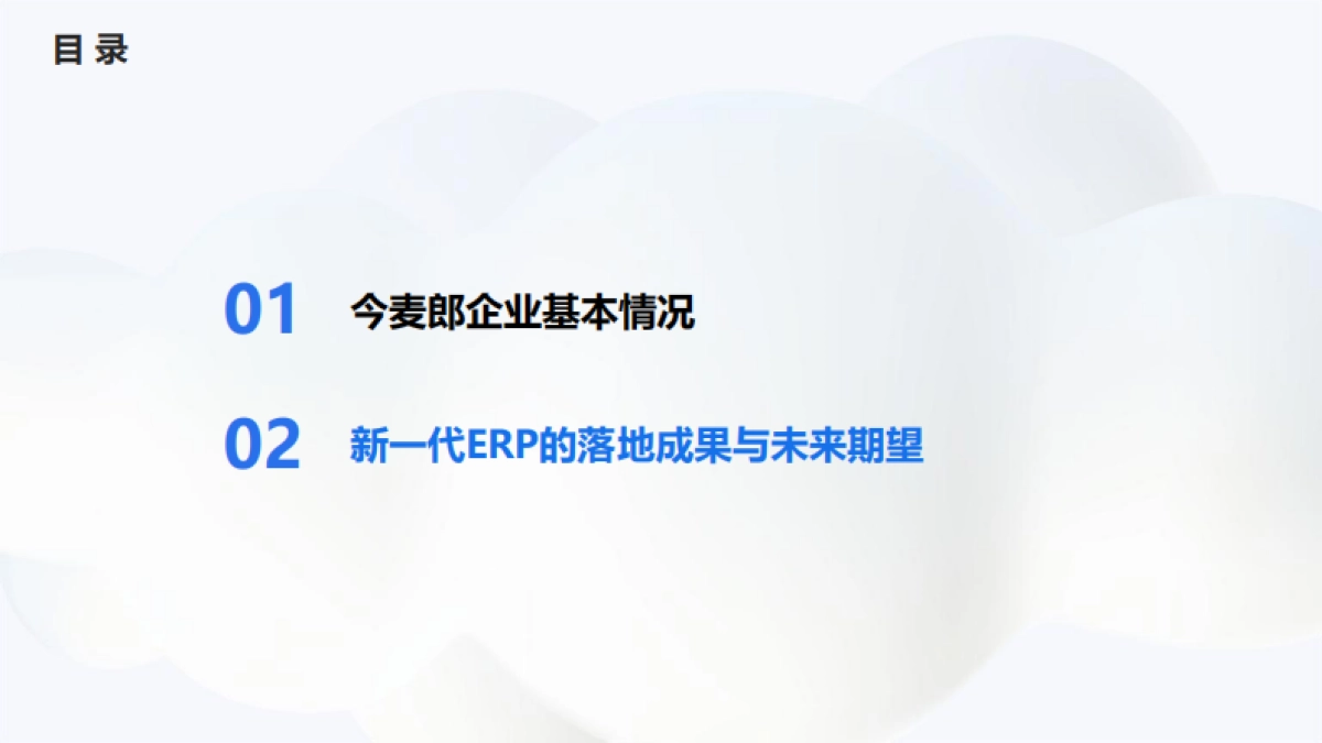 金蝶：2025年新一代ERP，助力今麦郎数字化转型报告_第8页