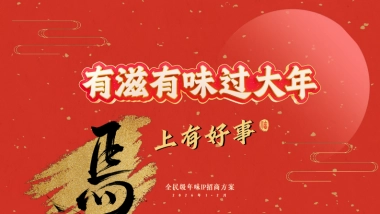 26快手CNY营销通案-有滋有味过大年