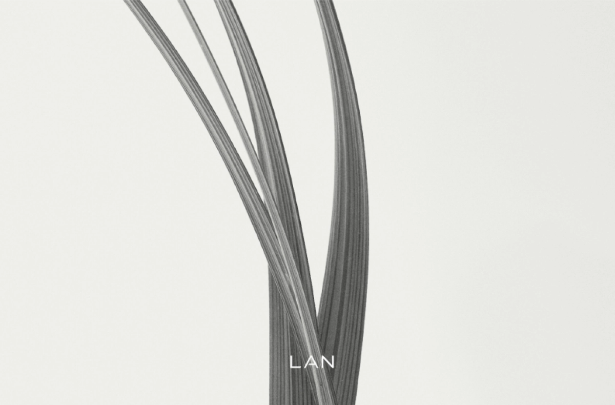 LAN兰-品牌手册_第1页