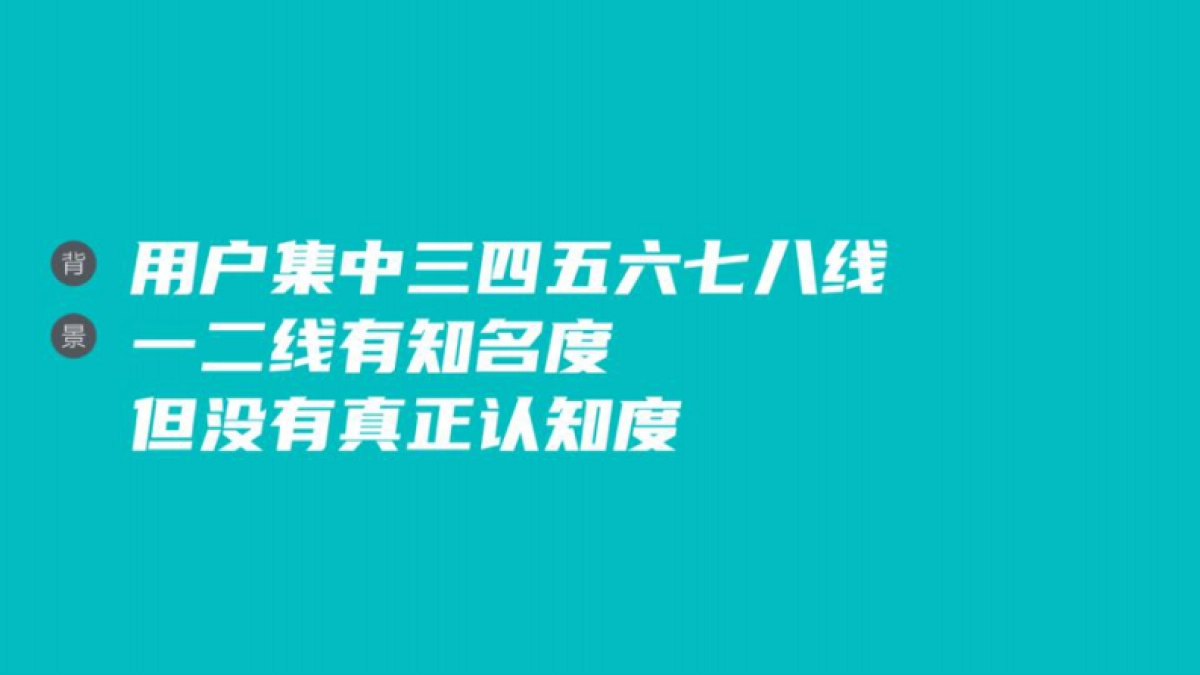 TOPIC公司简介_第8页
