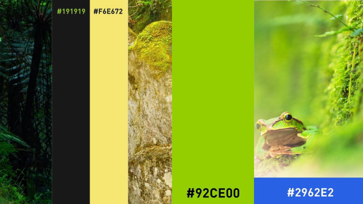 哇喔炭烧牛蛙品牌形象升级设计_第4页