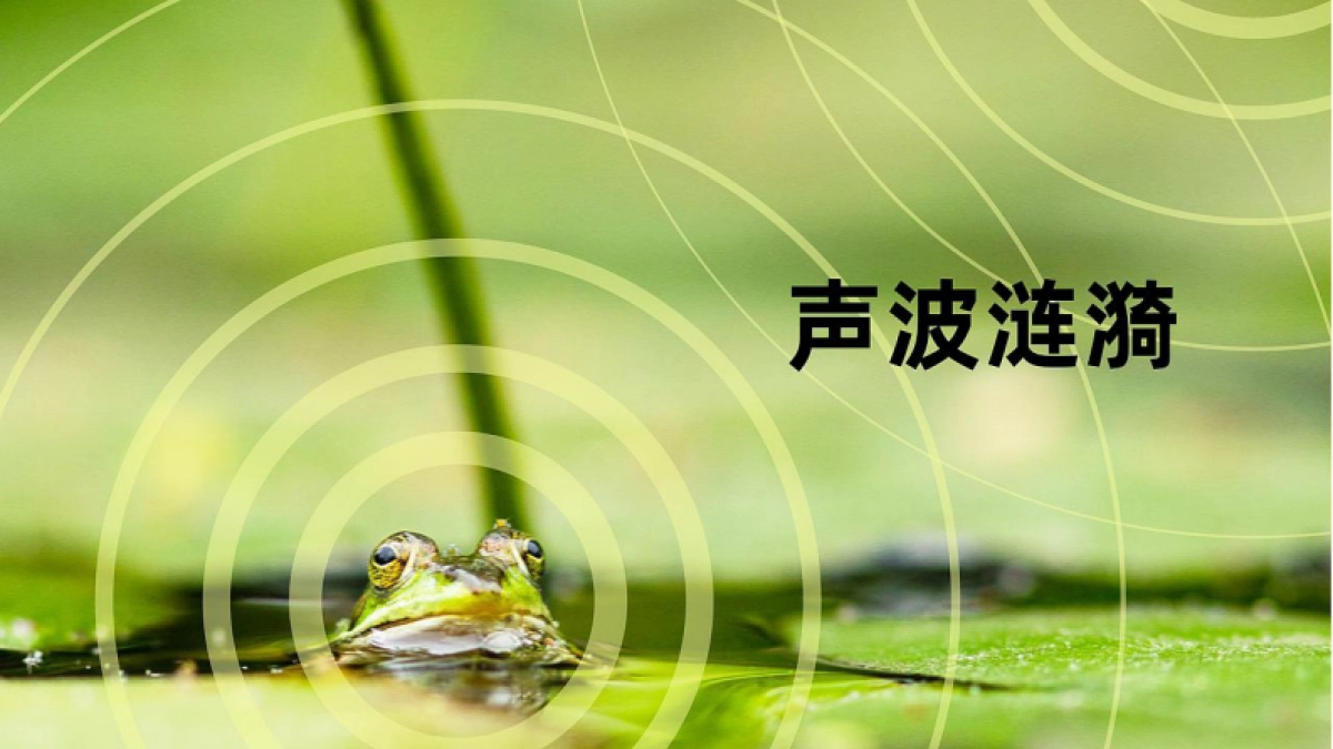 哇喔炭烧牛蛙品牌形象升级设计_第7页