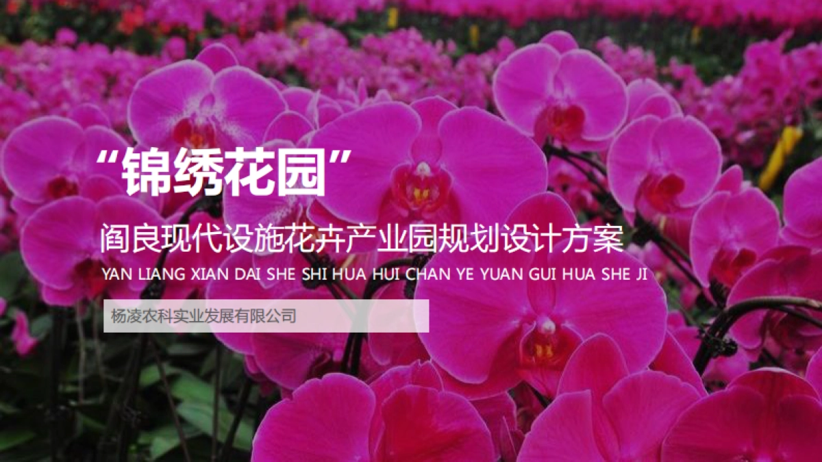 阎良现代设施花卉产业园规划设计方案_第1页