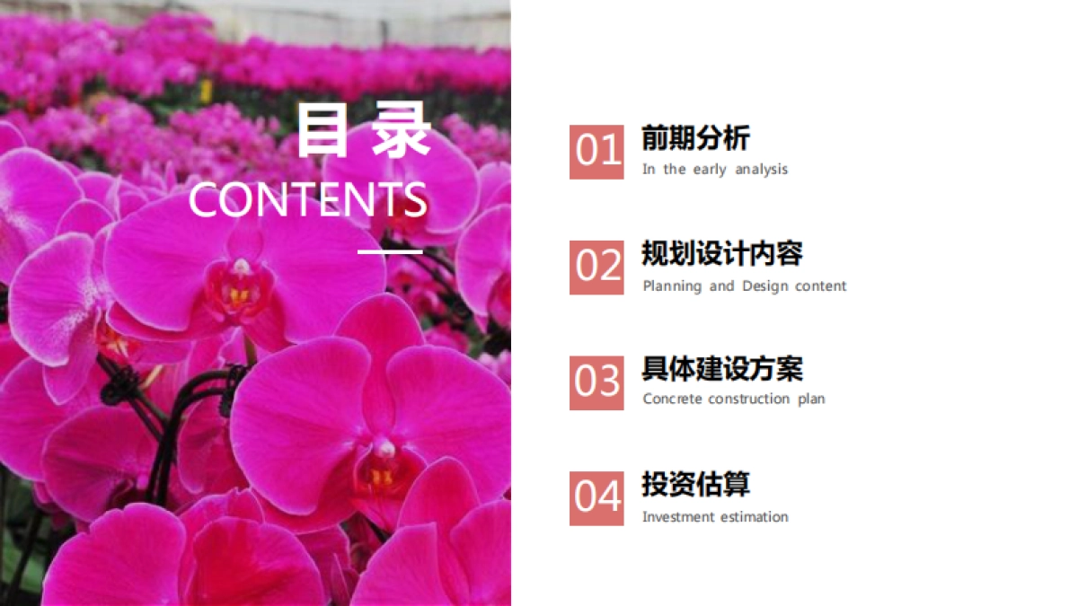 阎良现代设施花卉产业园规划设计方案_第2页