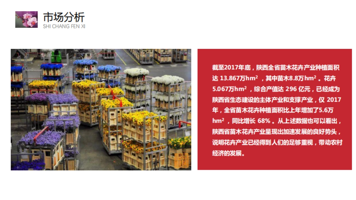 阎良现代设施花卉产业园规划设计方案_第5页