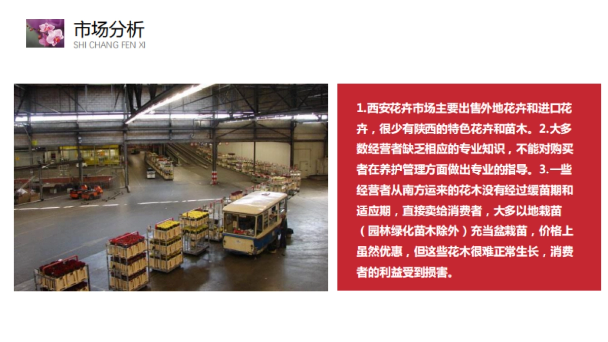 阎良现代设施花卉产业园规划设计方案_第6页