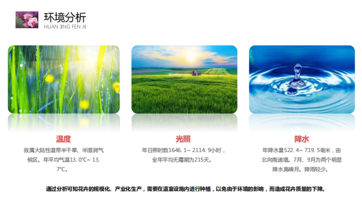 阎良现代设施花卉产业园规划设计方案_第8页