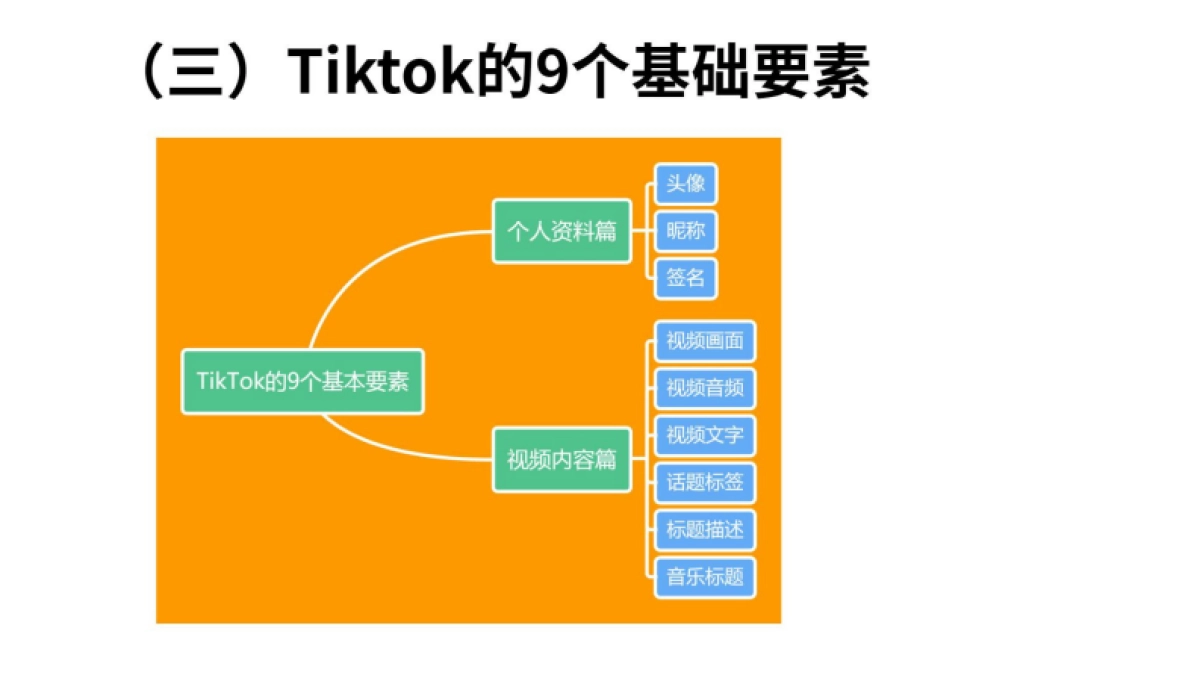 TikTok变现方式全解析_第10页