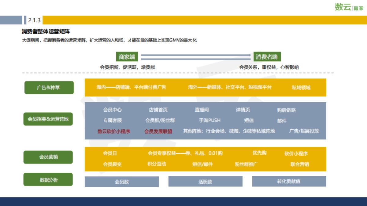 2021年天猫618年中盛典消费者运营方案_第10页